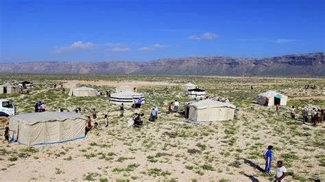 كيف تهدد القواعد العسكرية الإماراتية الحياة البرية في أرخبيل سقطرى اليمنية
