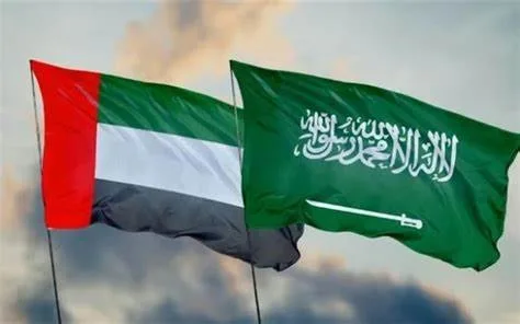 نزاع سعودي - إماراتي علني في الأمم المتحدة